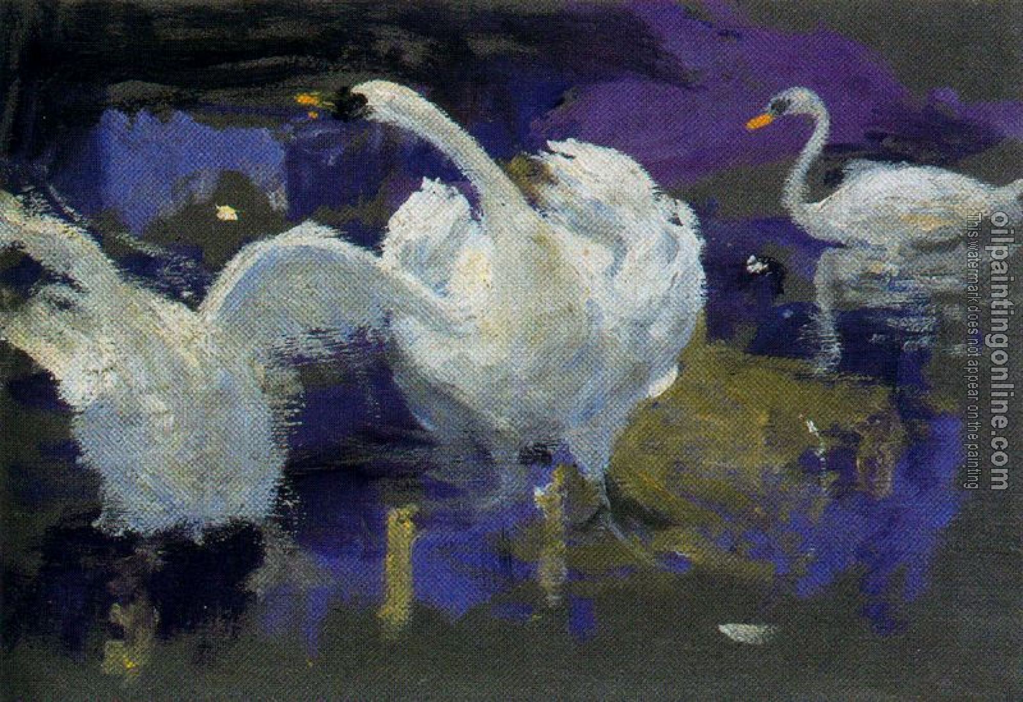 Ignacio Diaz Olano - Swans